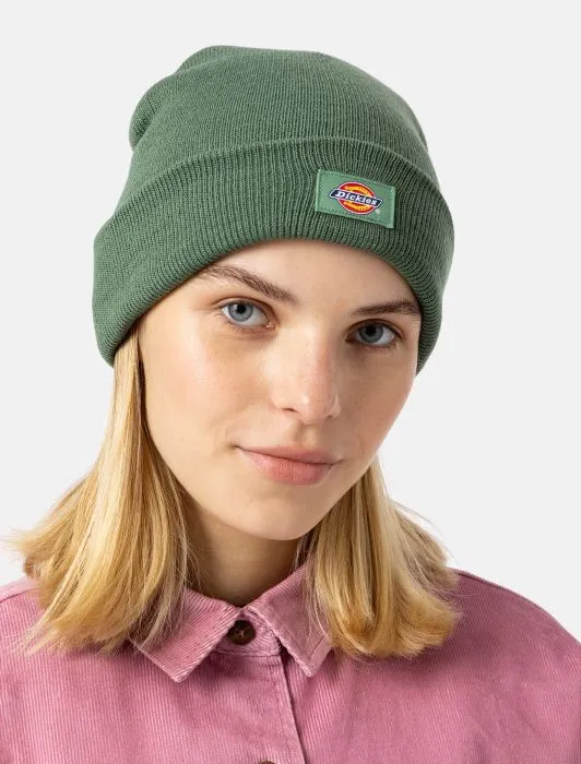 Cappello Unisex Gibsland Dickies / Verde