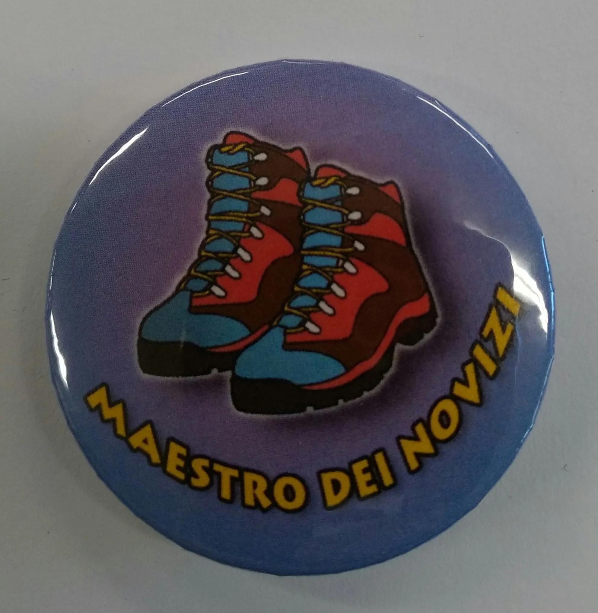 Maestro dei Novizi
