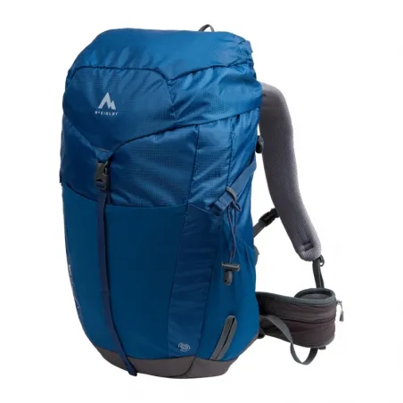 MCKINLEY       Lascar I VT 28 - col. 900